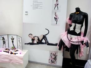 张雪作品展 张雪作品展