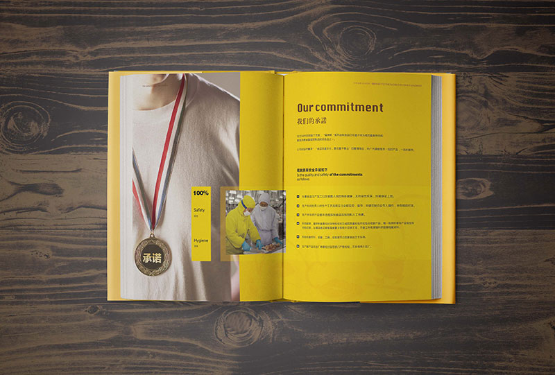 食品风格画册设计来自山西公司鸭脖的画册案例