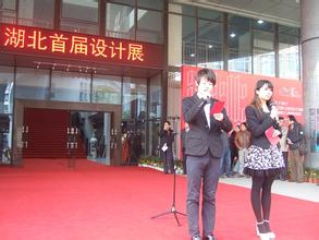 湖北设计展开幕式 湖北设计展开幕式
